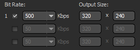 Bit Rate Stream Options - Flash Media Live Encoder